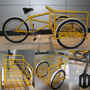 Transport Tricycle